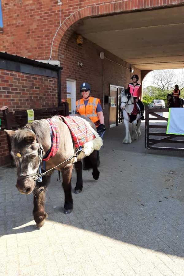 Smudge - Glasgow Riding Disabled Association