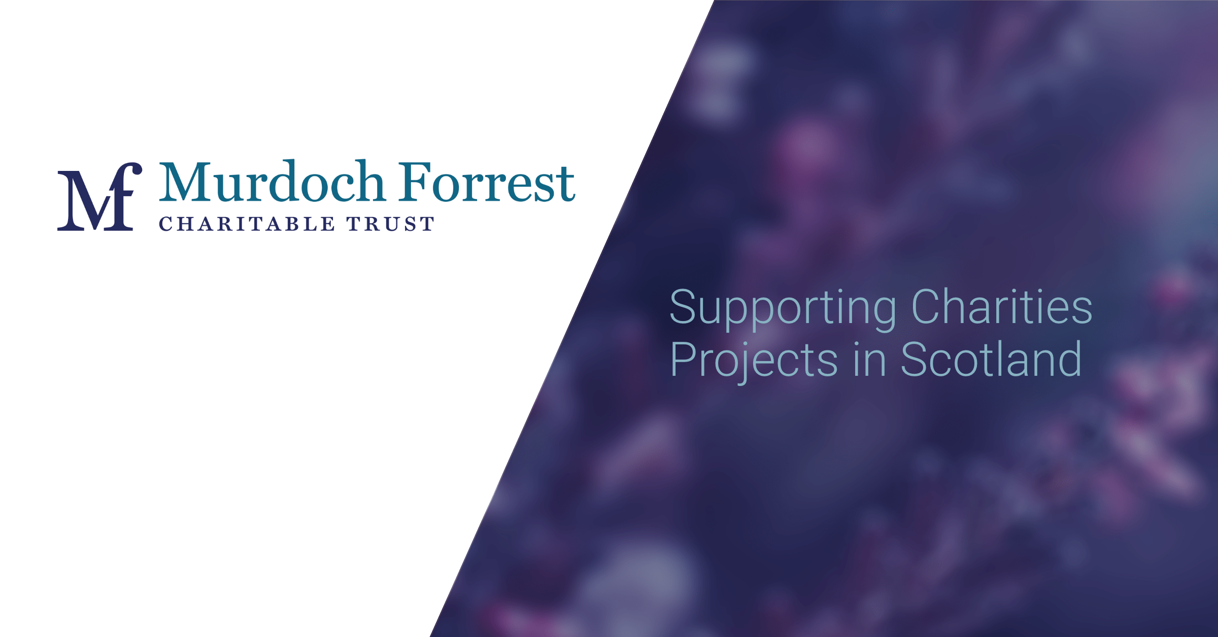 Your Application - The Murdoch Forrest Charitable Trust